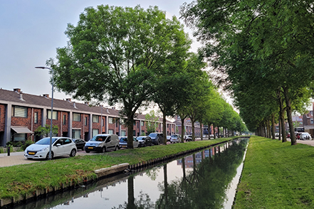 Laurensvliet - wijk Noord